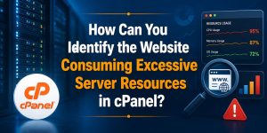 How Can You Identify the Website Consuming Excessive Server Resources in cPanel?