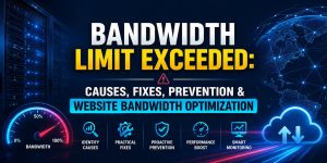 Bandwidth Limit Exceeded: Causes, Fixes, Prevention & Website Bandwidth Optimization