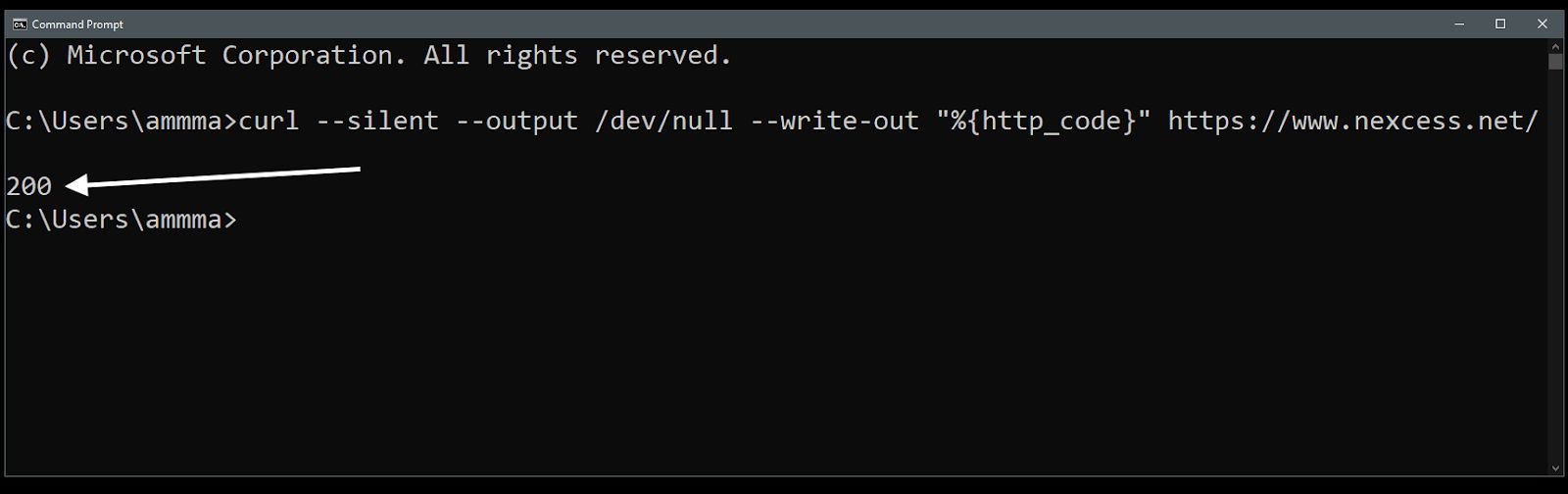 cURL response of https://www.nexcess.net.